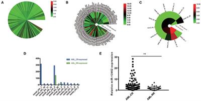 A Novel miRNA Restores the Chemosensitivity of AML Cells Through Targeting FosB